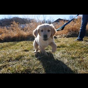 Meet your Posher, Kyle